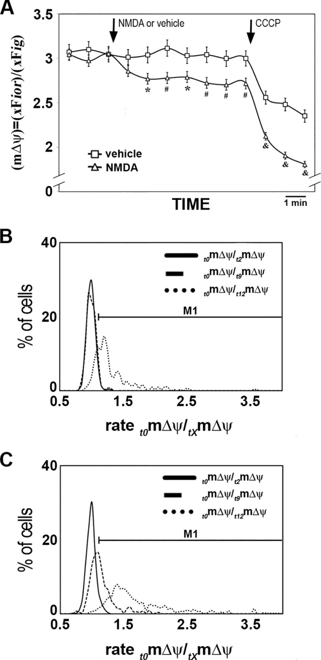 Fig 8