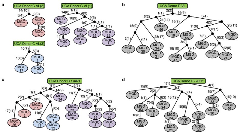 Extended Data Figure 5.