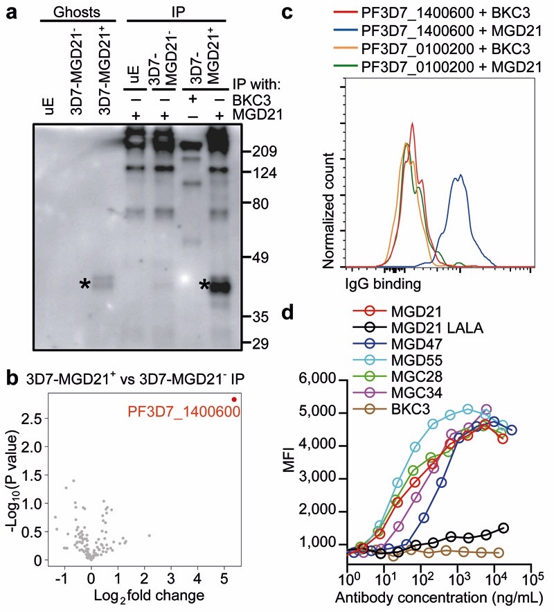 Figure 4.