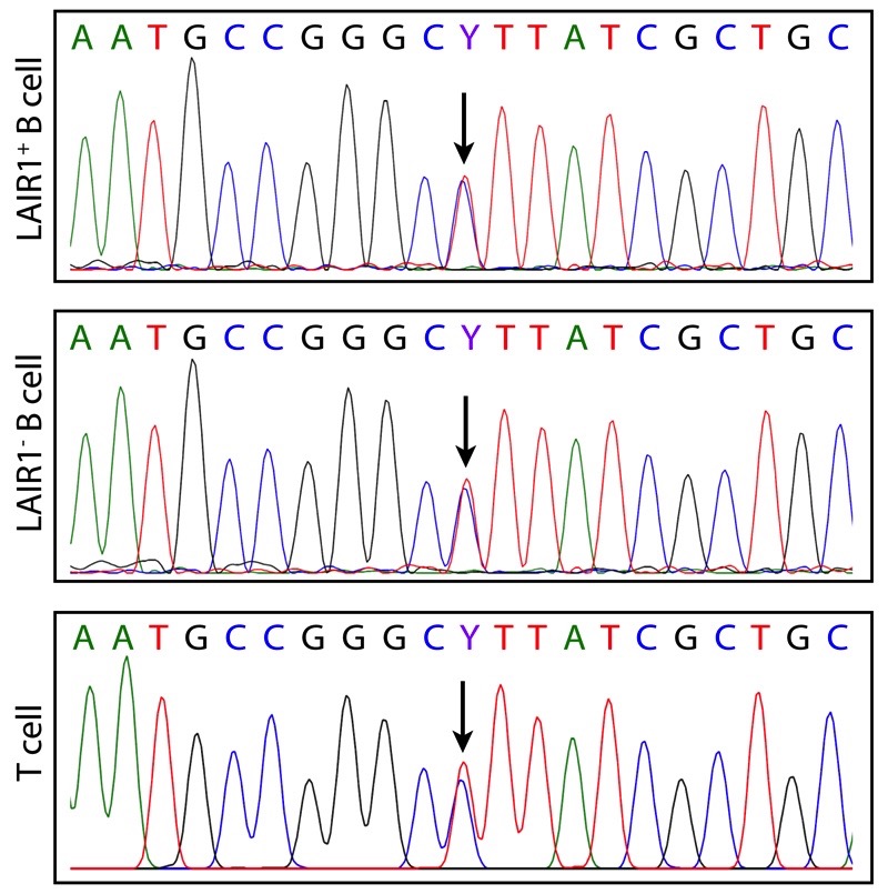 Extended Data Figure 8.