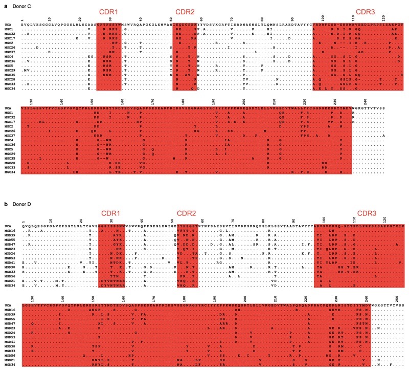 Extended Data Figure 3.