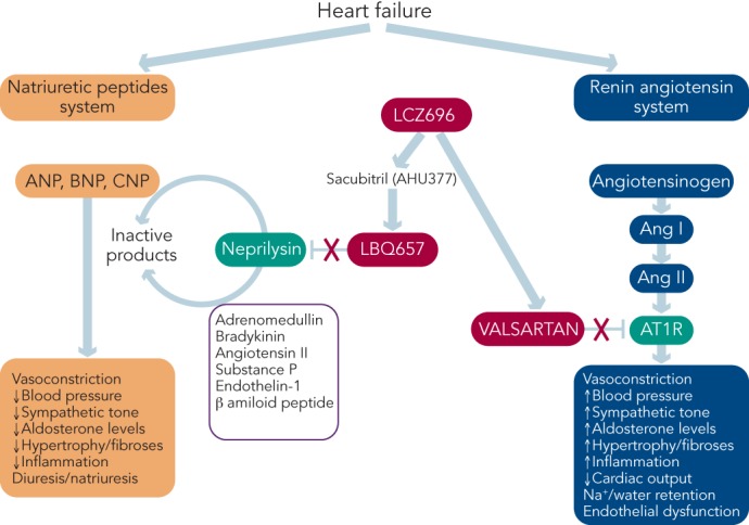 Figure 1: