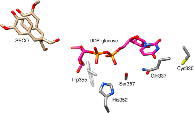 Figure 6