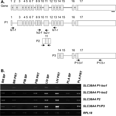 FIG. 7.