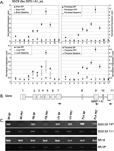 FIG. 6.