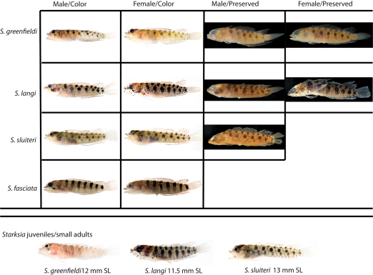 Figure 15.