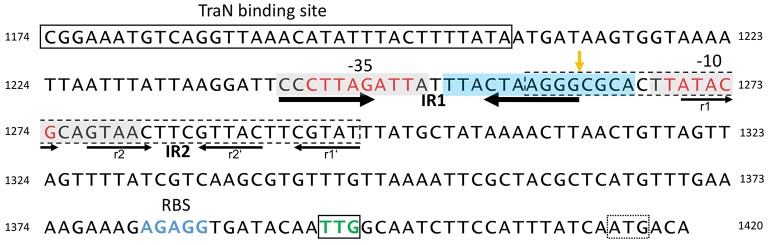 Figure 5