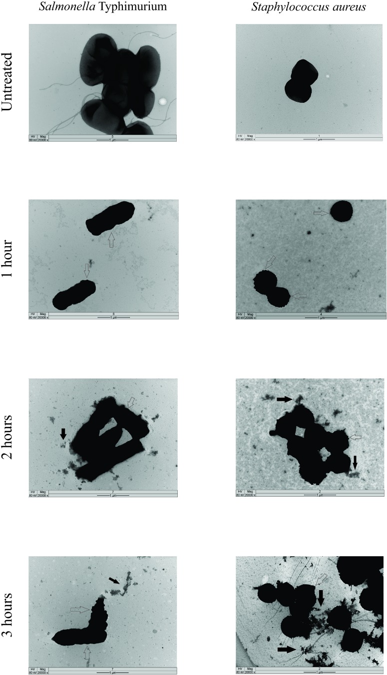 FIGURE 3