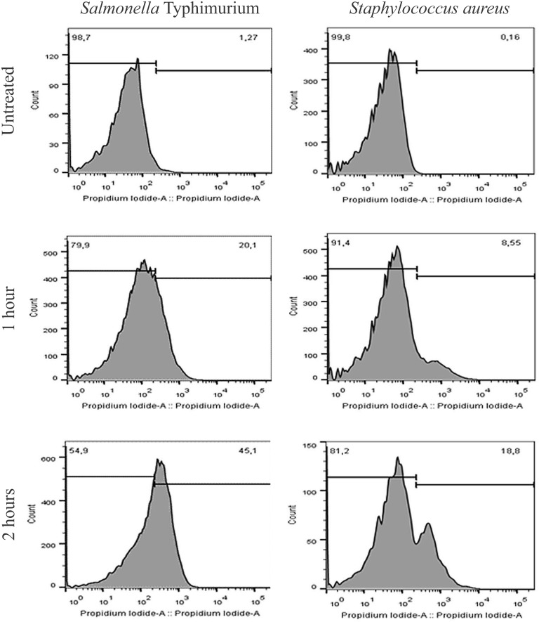 FIGURE 2