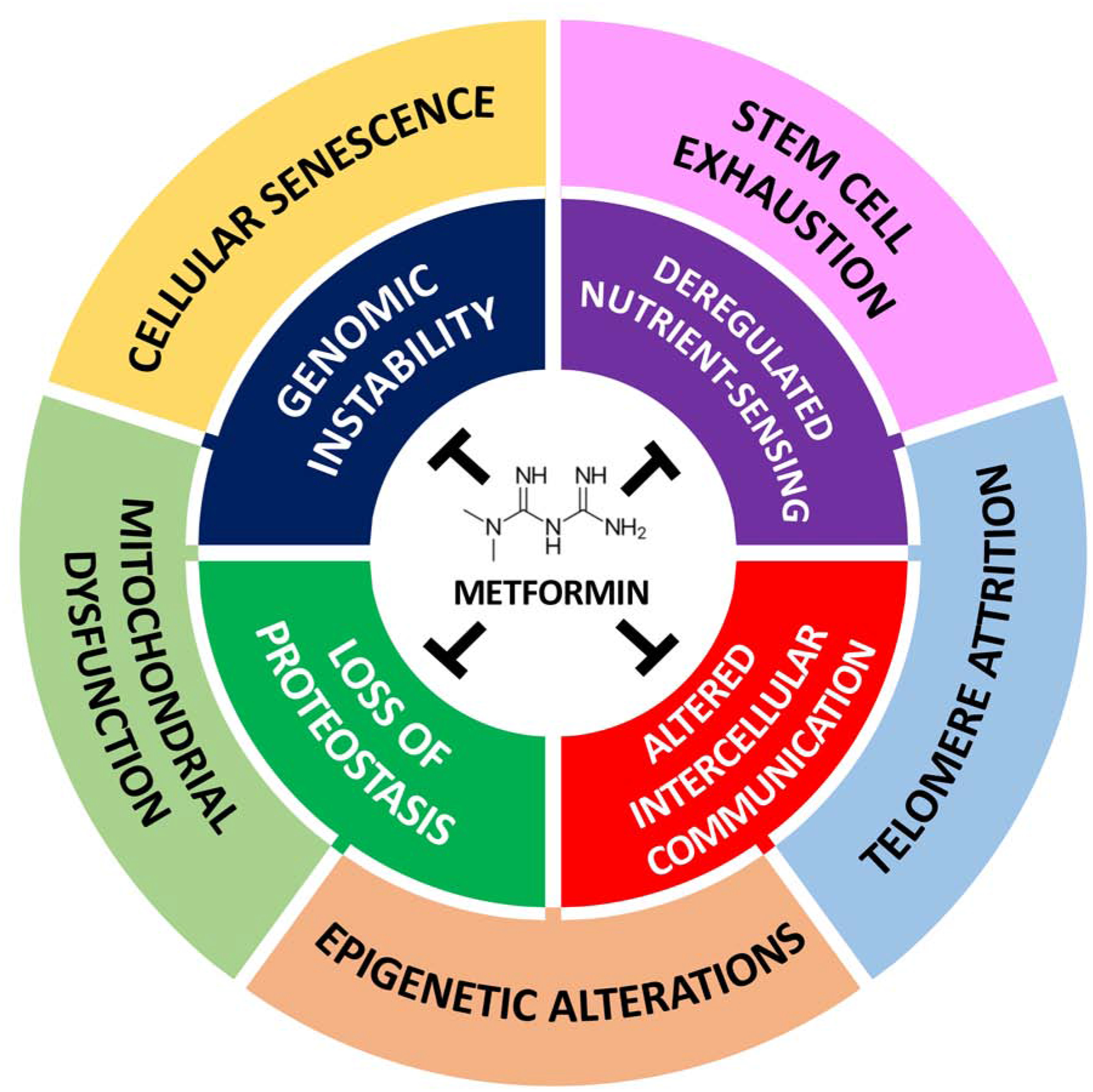 Figure 2-