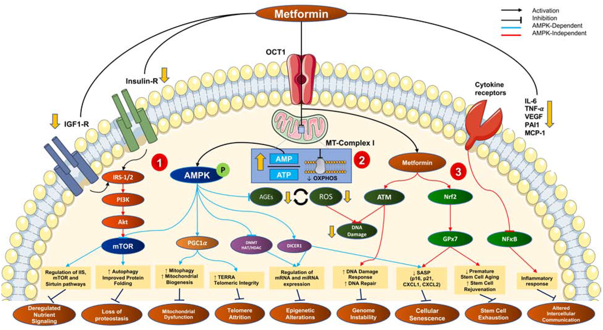 Figure 1-