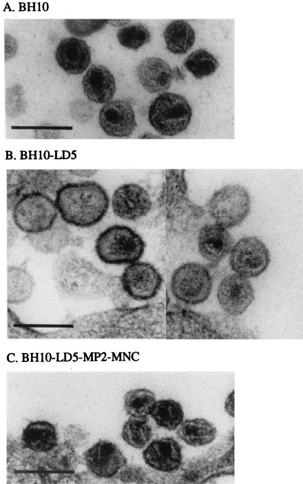 FIG. 4