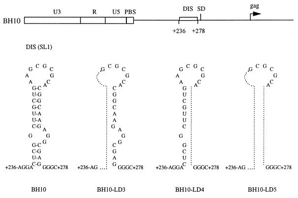 FIG. 1