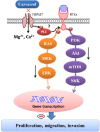 Figure 9