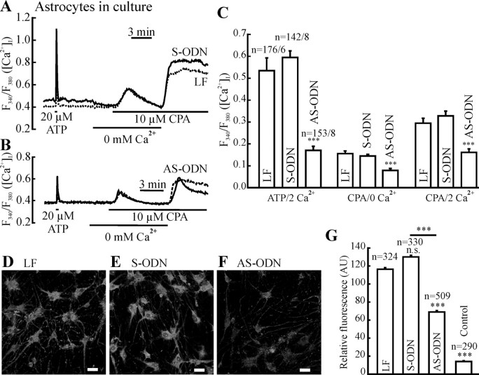Figure 9.