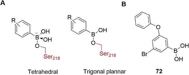 Figure 29