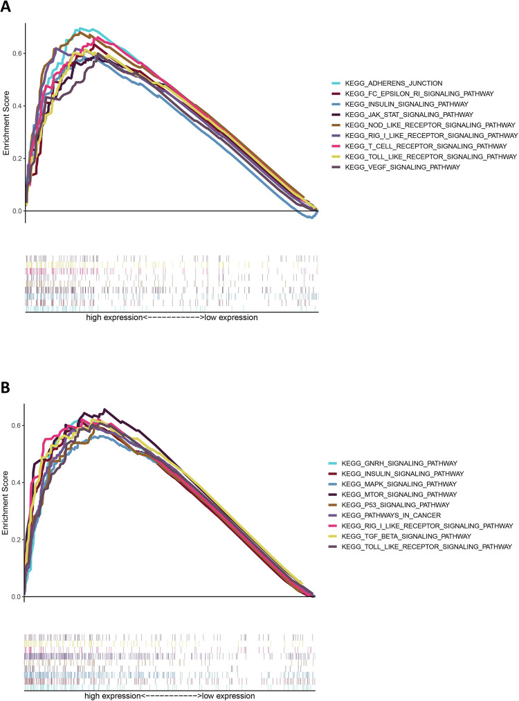 Fig 10