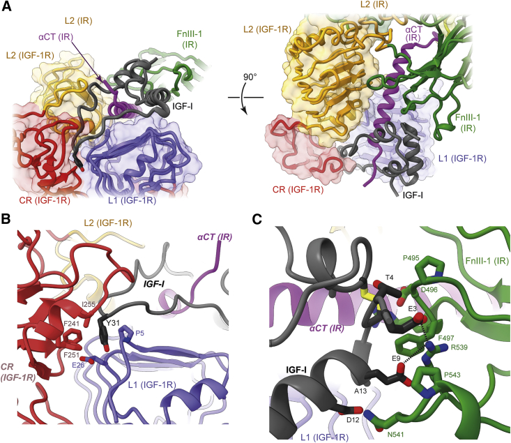 Figure 3