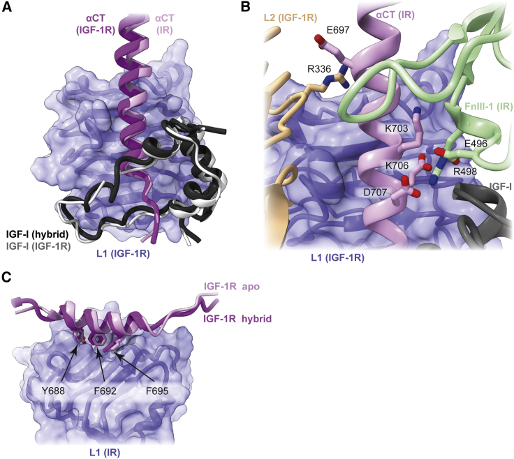 Figure 4