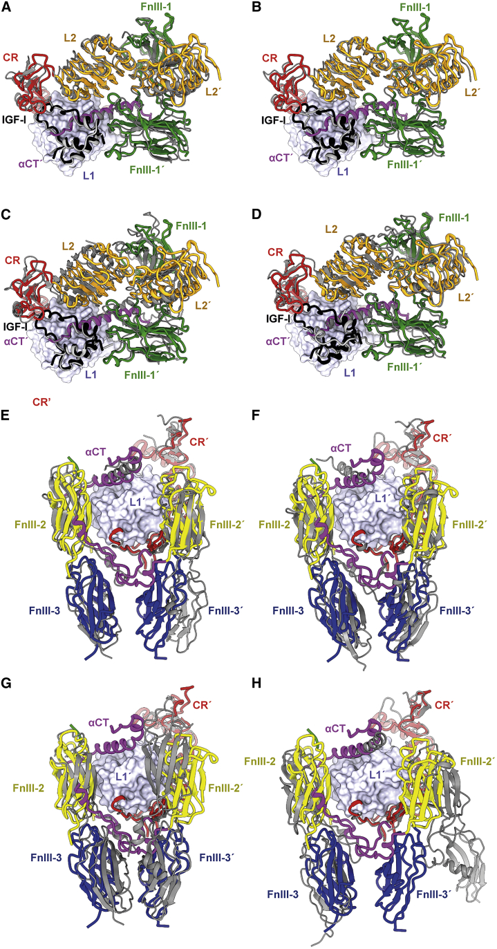 Figure 2