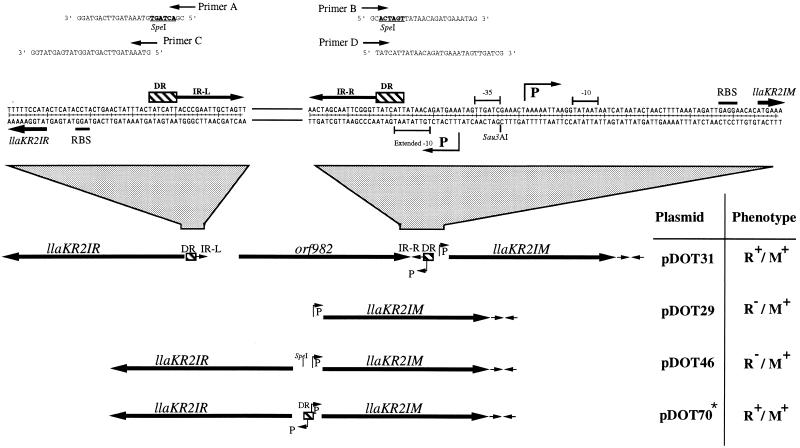 FIG. 6