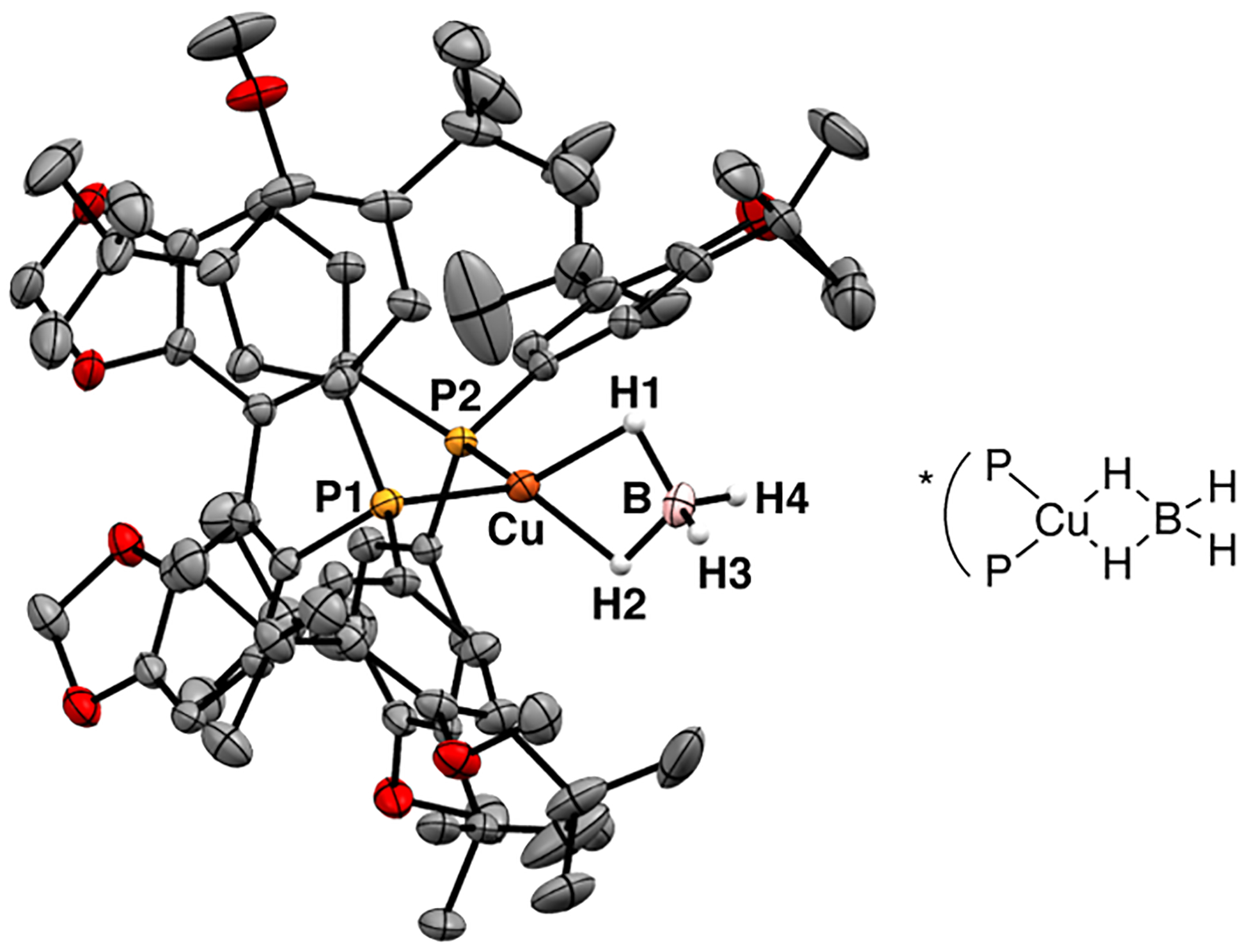 Figure 5.