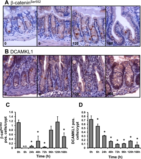 Fig. 8.