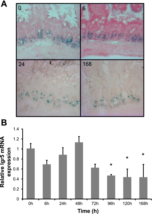 Fig. 9.