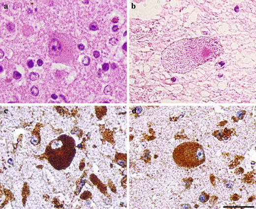 Fig. 2