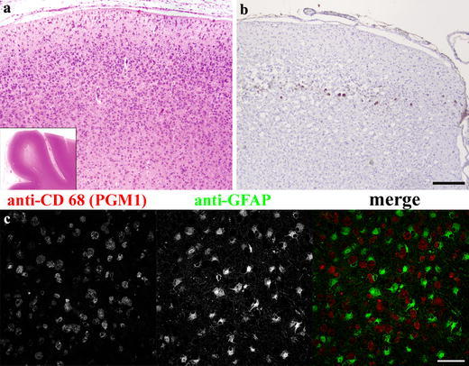 Fig. 6