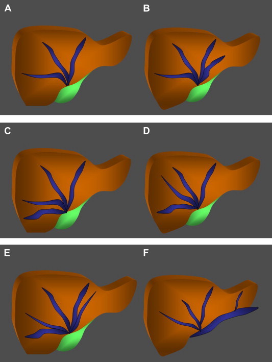 Fig. 9