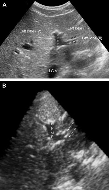 Fig. 7