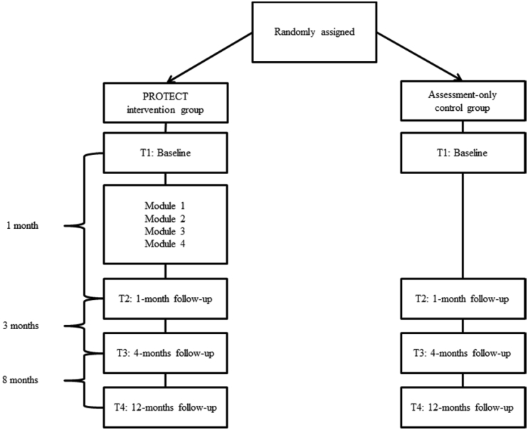 Fig. 1