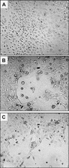 FIG. 10.