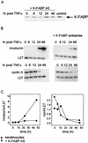 FIG. 9.