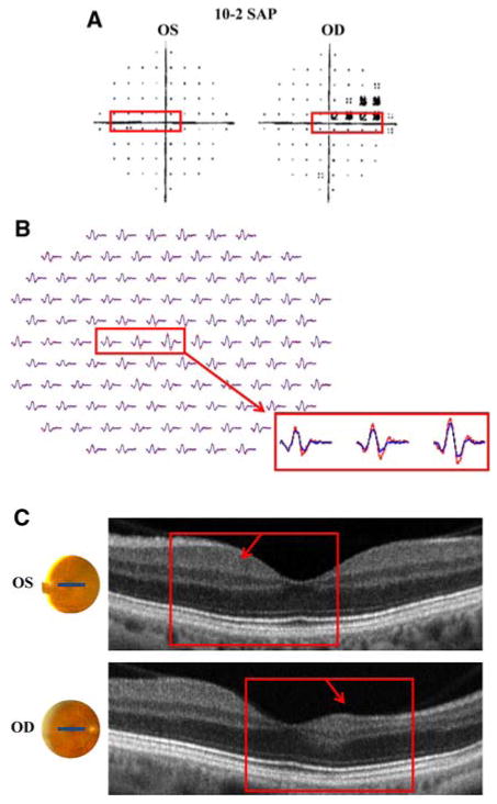 Fig. 6