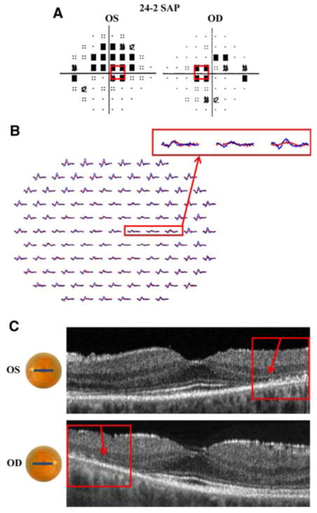 Fig. 2