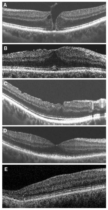 Fig. 7