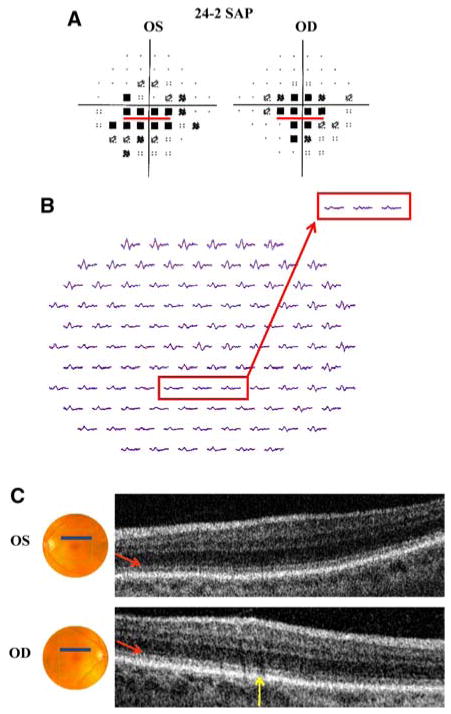 Fig. 3