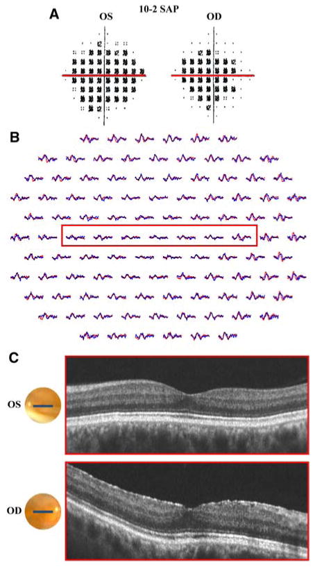 Fig. 4