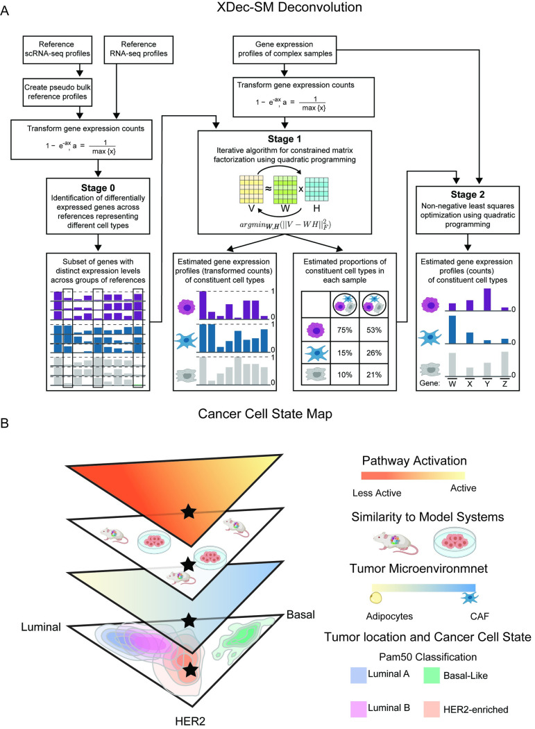 Deconvolution of cancer cell states by the XDec-SM method - PMC