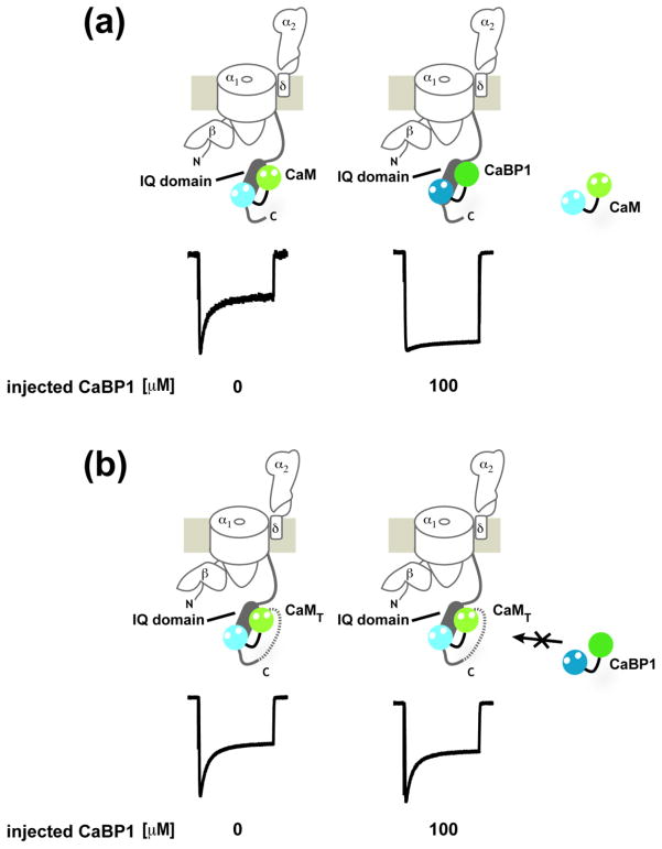 Fig. 7