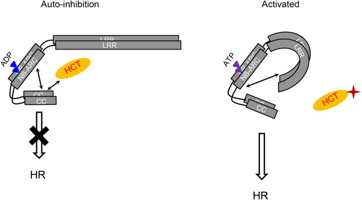 Figure 7.