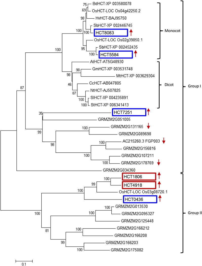 Figure 2.