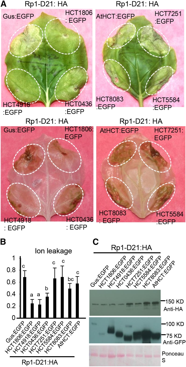 Figure 3.