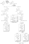 Scheme 1