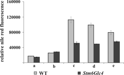 FIGURE 5.