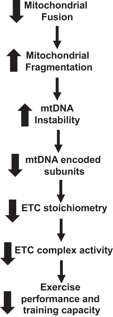 Fig. 9.