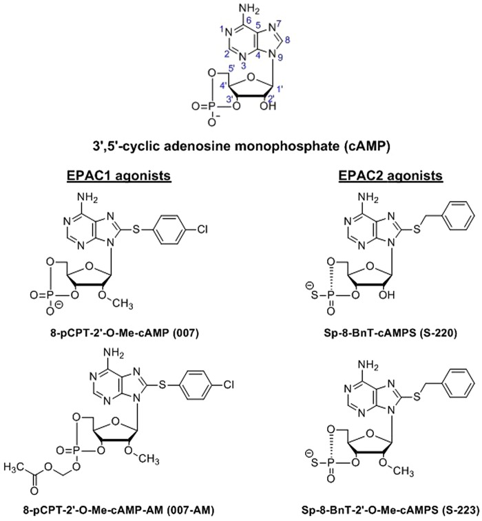 Figure 1.