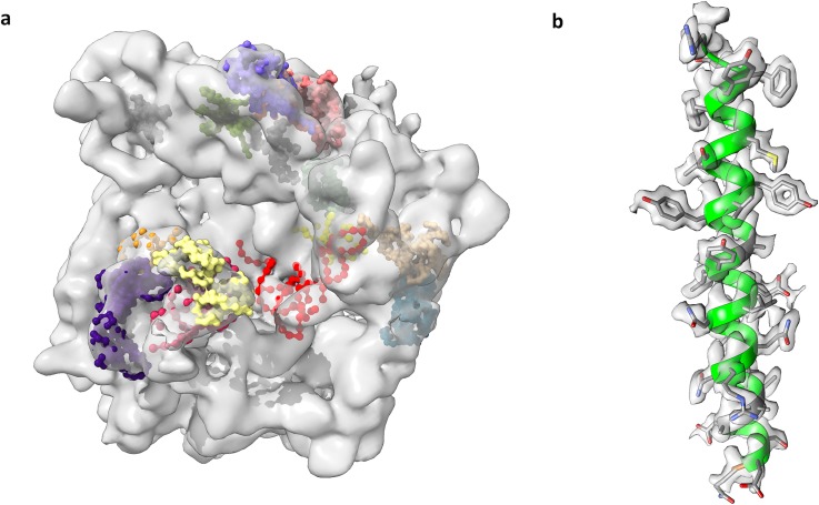 FIG. 1.